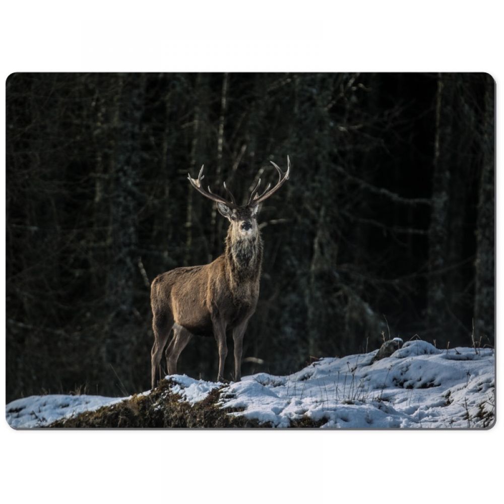 Red stag 29 chopping board.jpg