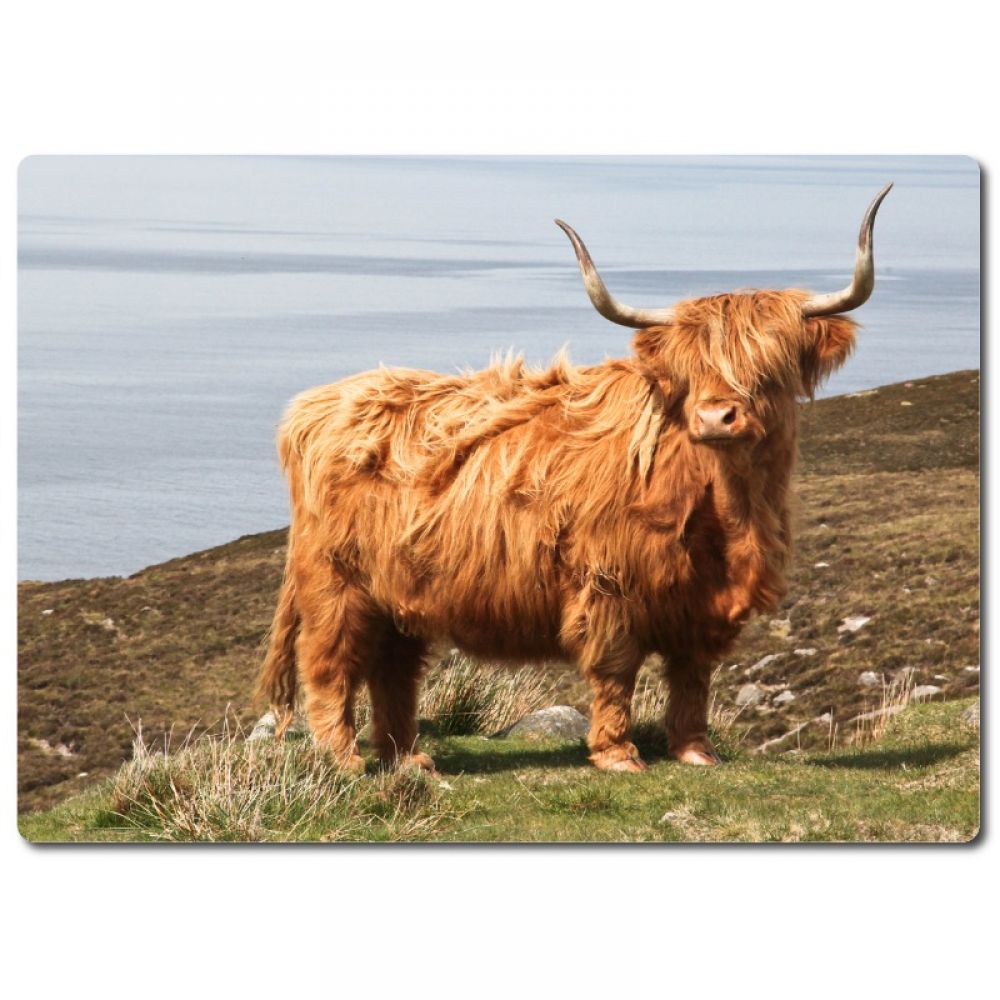 Highland cow 18 x 12 cm .jpg