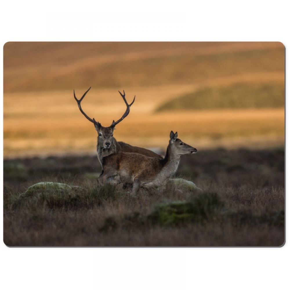 Red stag 4 chopping board.jpg