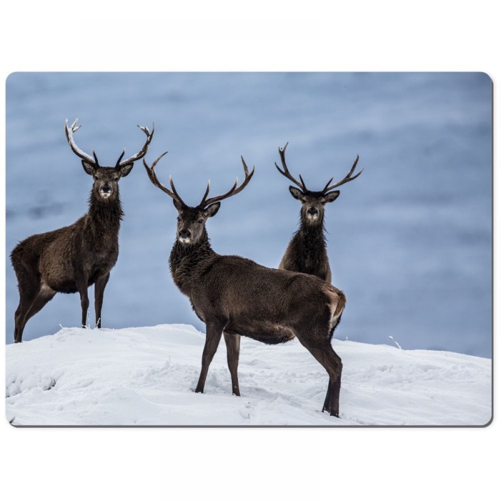 Red stag 7 chopping board.jpg