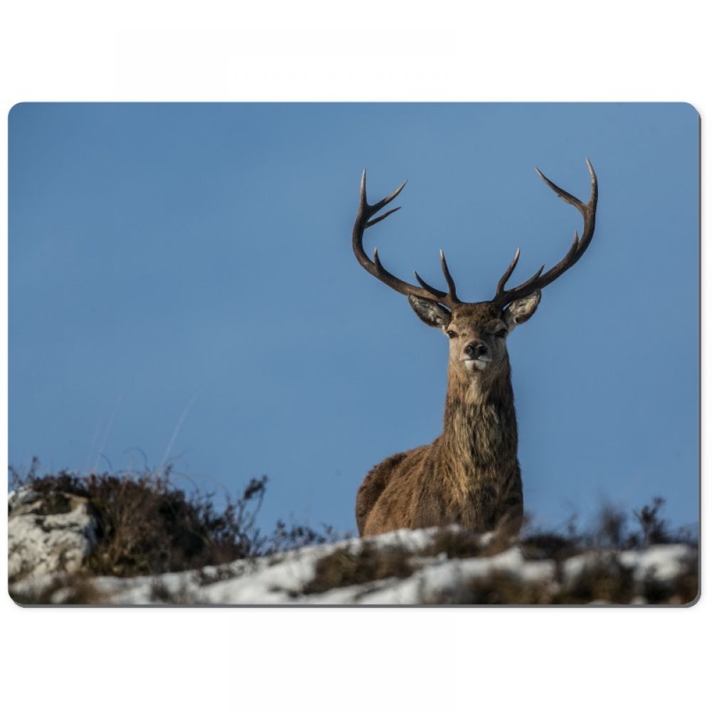 Red stag 26 chopping board.jpg