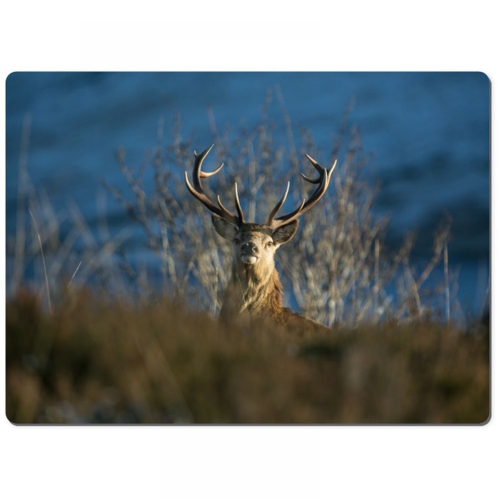 red stag 11 chopping board.jpg