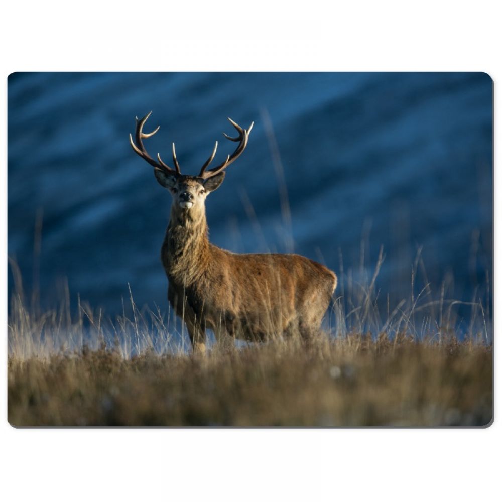 Red stag 10 chopping board-2.jpg