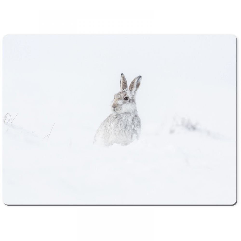 Mountain hare 2 chopping board.jpg