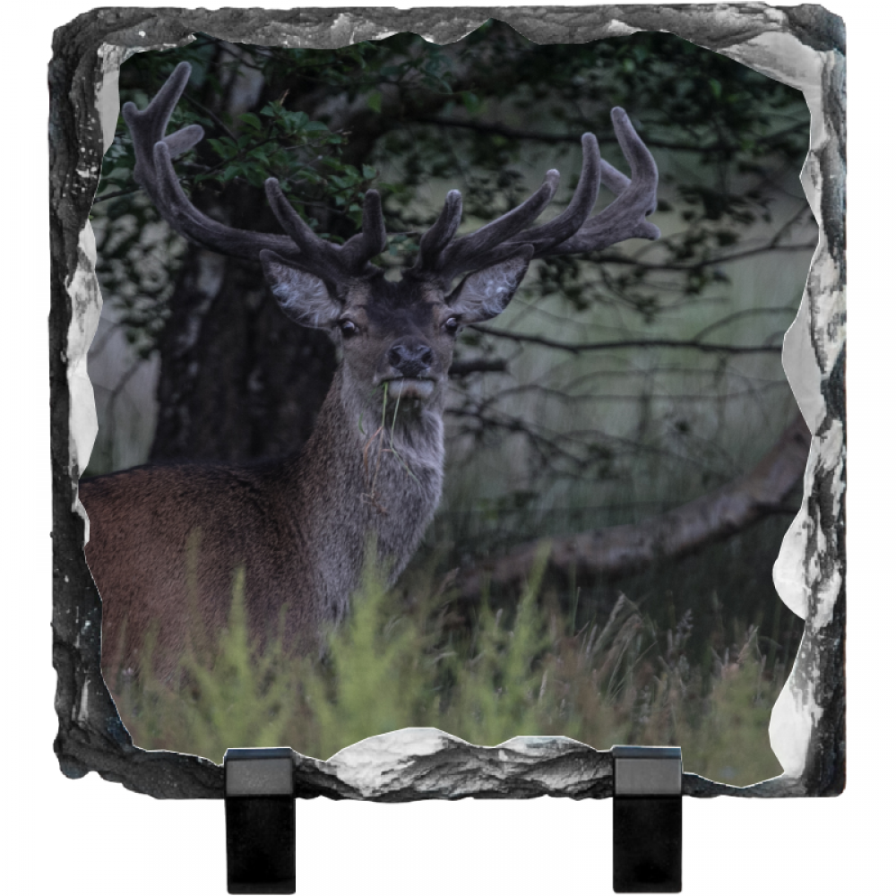 Red stag 41 15 x 15 Rock slate.png