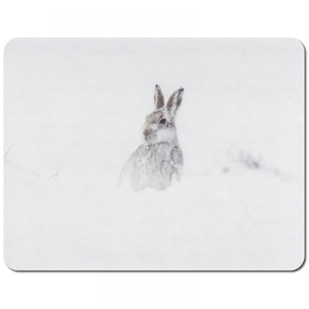 Mountain hare placemat.jpg