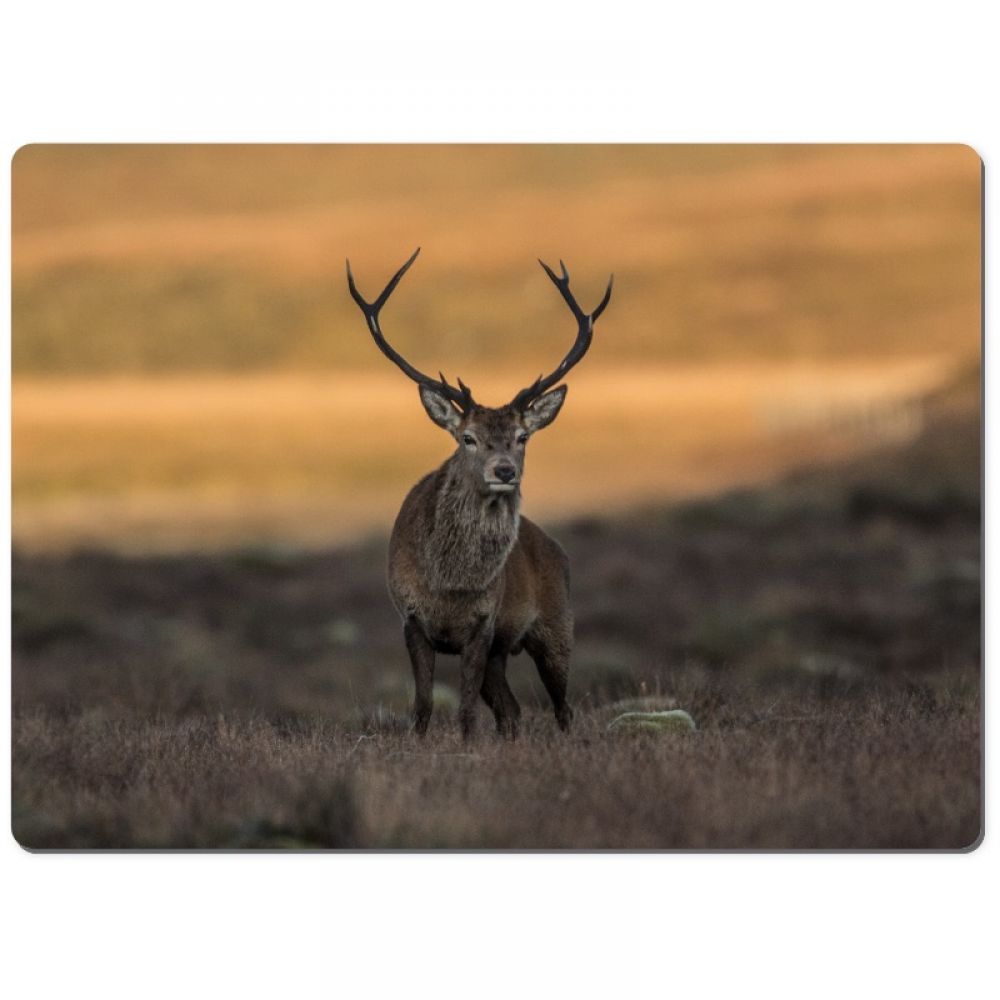 Red stag 2 chopping board.jpg